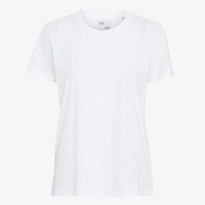 Light Organic Tee from Colourful Standard
