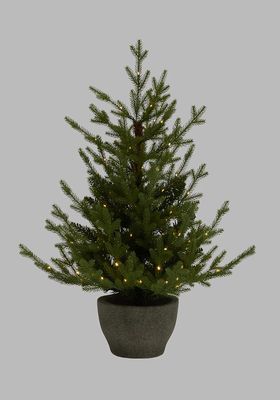 Cotswold Potted Pre-lit Christmas Tree, 3ft from John Lewis