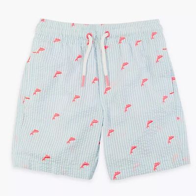 Dolphin Embroidered Striped Swim Shorts from Marks & Spencer