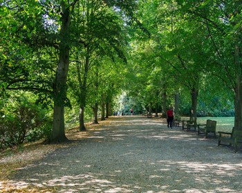 Hampstead Heath Circular Trail