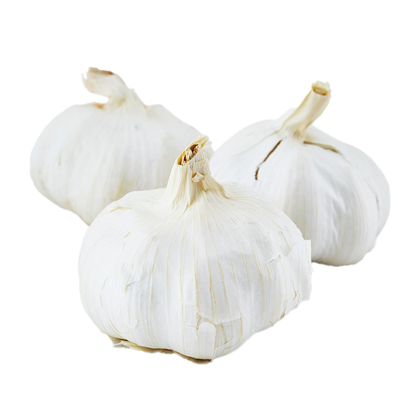Large Spanish Garlic from Natoora