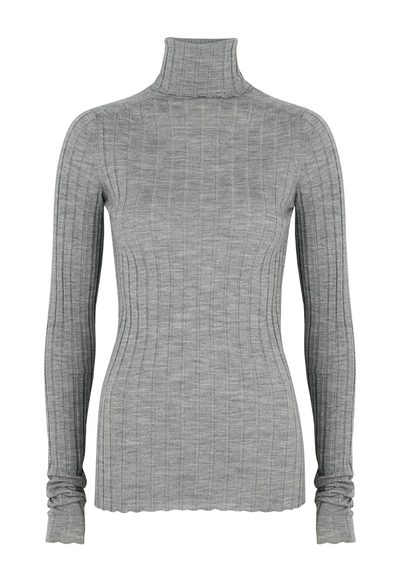 Karen Roll-Neck Merino Wool Top from Petar Petrov