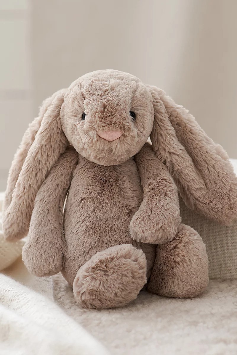 Bashful Bunny  from Jellycat