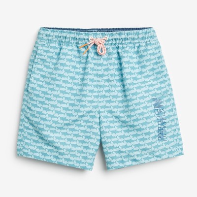 Swim Shorts from Next