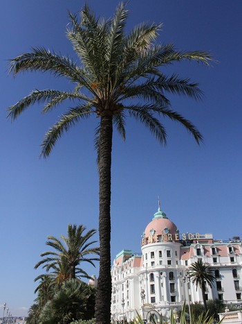 Le Negresco