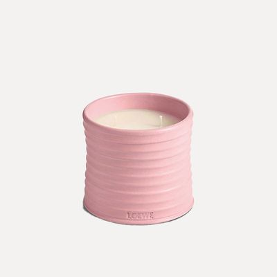 Ivy Medium Candle from Loewe