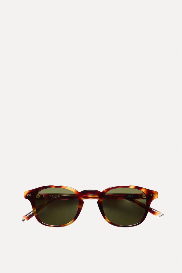 Eagle Sunglasses from Taylor Morris