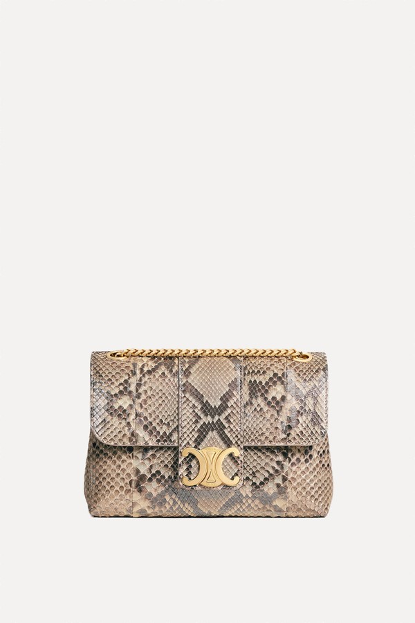 Teen Celine Victoire Bag from Celine