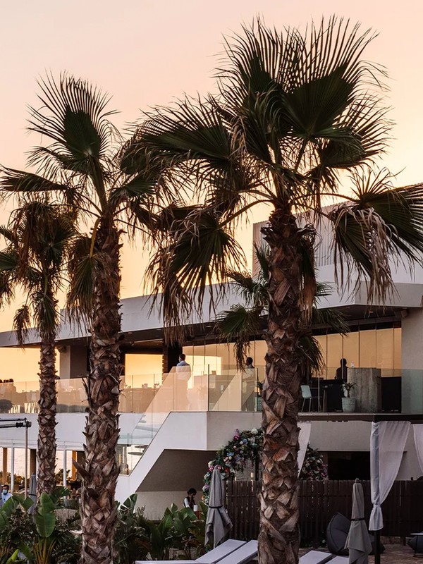 Contemporary Japanese restaurant in Ibiza with great views of