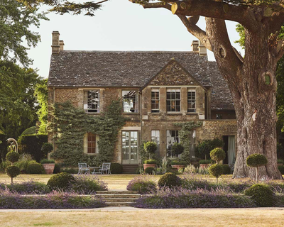 Thyme, Cotswolds 