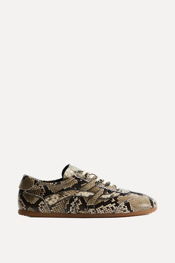 Trainers 