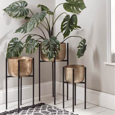 Indoor Three Standing Brass Planters Botanical Feature