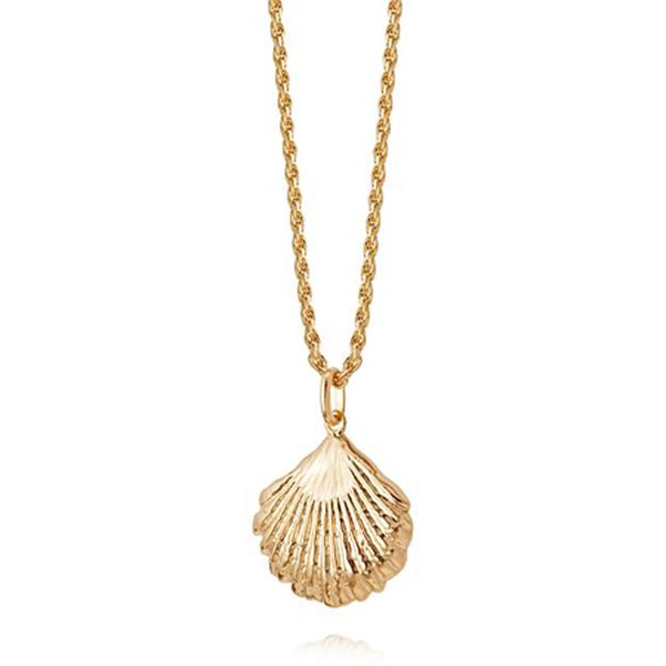 Isla Large Shell Necklace from Daisy London