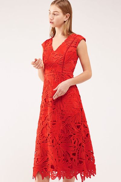 Leaf Lace Dress from Jigsaw