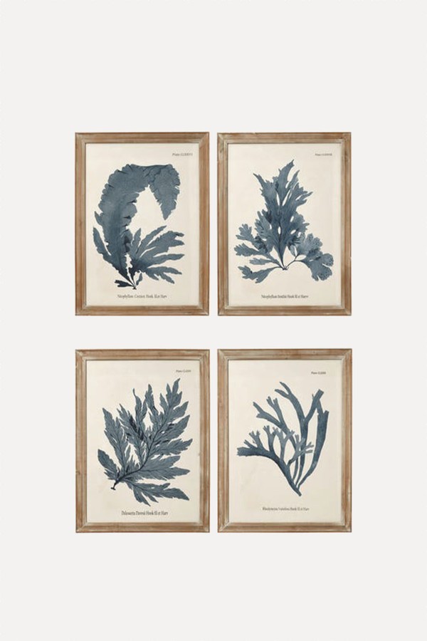 Set Of 4 Seaweed Framed Prints from OKA