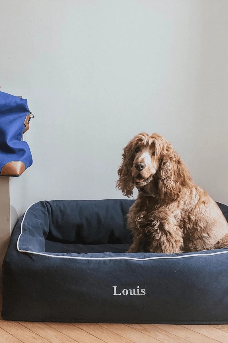 Dog Bed from My Style Bags