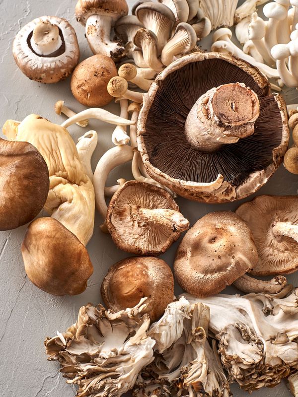 It’s Mushroom Season – Here’s What You Need To Know