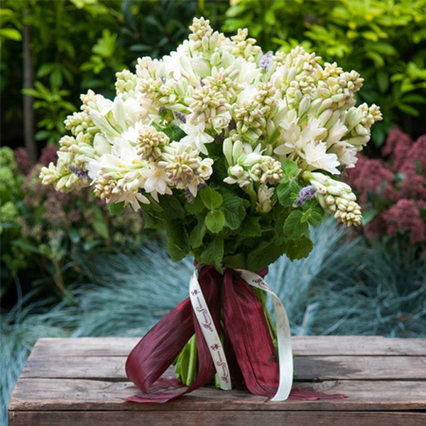 Tuberose Bouquet from Moyses Stephens
