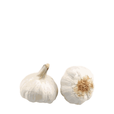 Large Garlic from Waitrose