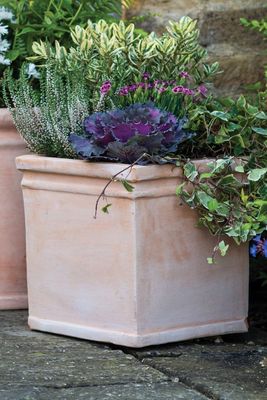 Clayton Square Terracotta Plant Pot from Gardenesque