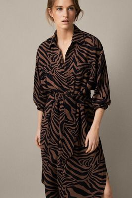 Belted Zebra Print Dress from Massimo Dutti