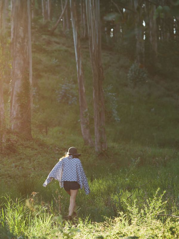 What Is Forest Therapy?