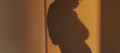 The SL Directory: Natural Fertility Experts