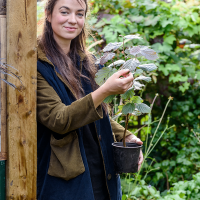What’s In My Garden, With Frances Tophill 