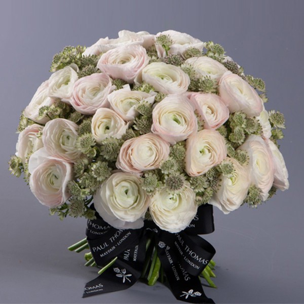 Blush from Paul Thomas