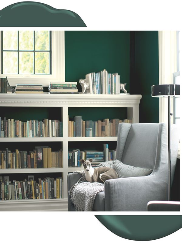 Get Expert Tips in Our Colour Masterclass: Earthy Green