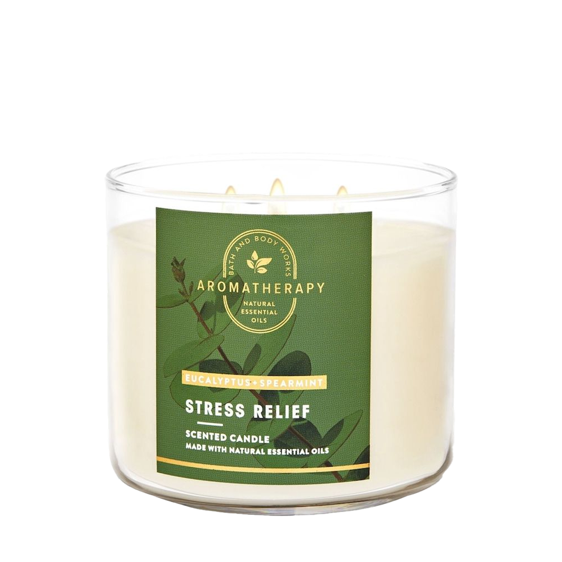 Eucalyptus & Spearmint 3-Wick Candle