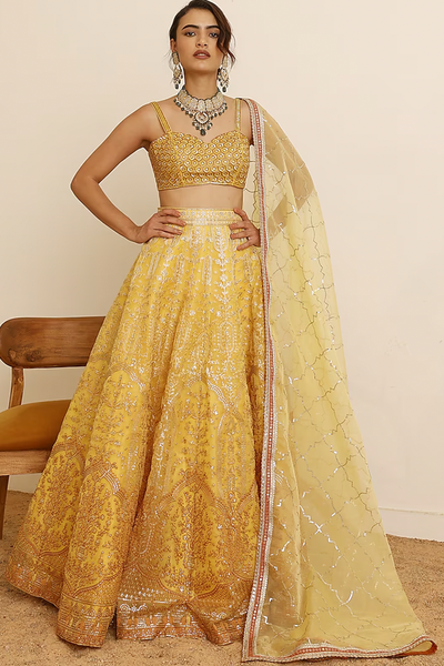 Organza Embroidered Lehenga Set from Studio Iris