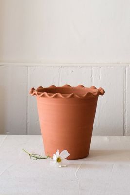 Wavy Edge Terracotta Pot  from Straw London 