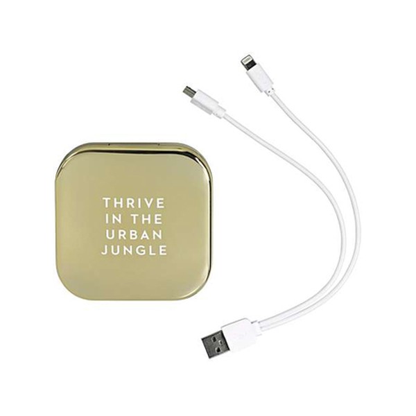 Pretty Useful Tools Power Bank & Compact Mirror