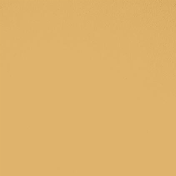 Library Morning Room Paint from Paint & Paper Library