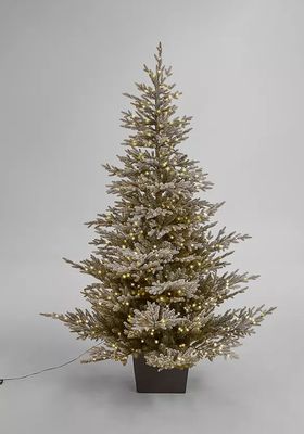 Cotswold Snowy Potted Pre-Lit Christmas Tree, 7ft from John Lewis & Partners