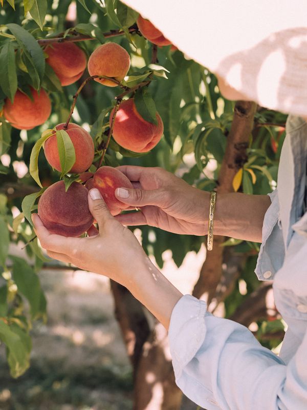 The Best Pick-Your-Own Farms Near London 