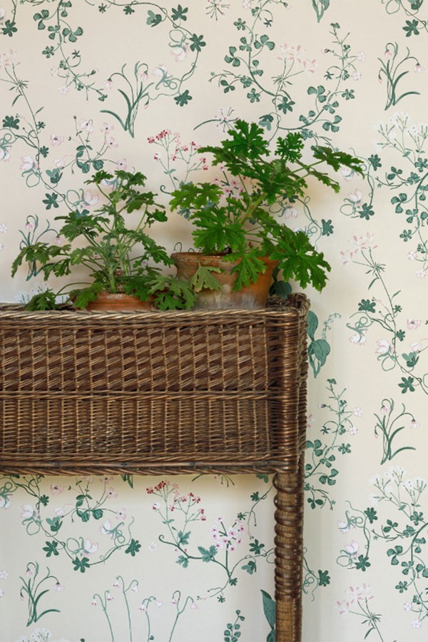 Botanica Wallpaper from Barneby Gates x Willow Crossley