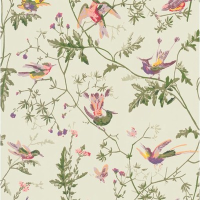 Hummingbirds Archive Anthology from Cole & Son