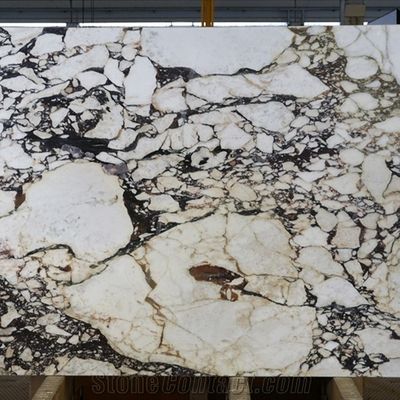 Calacatta Viola Marble Slabs from Stone Contact