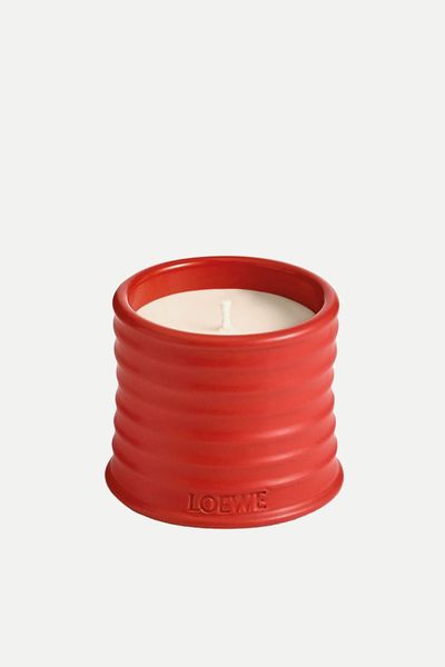 Tomato Leaves Candle  from LOEWE