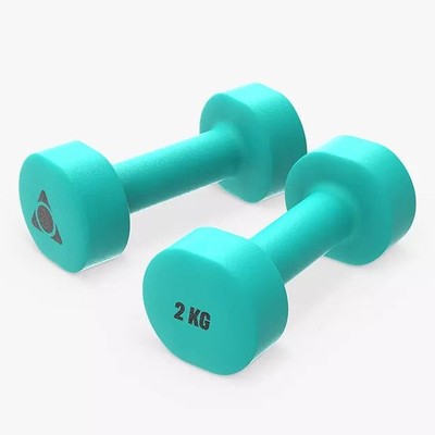 Pair of 2kg Dumbbells from Apex