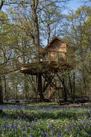 Knepp Treehouses