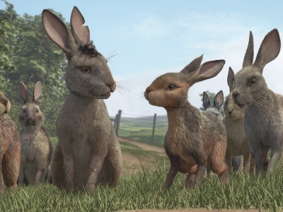 Watership Down