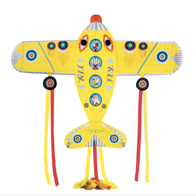 Aeroplane Kite from Djeco