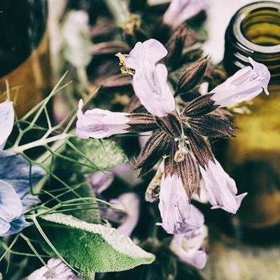 How To Rewire Your Brain With Aromatherapy