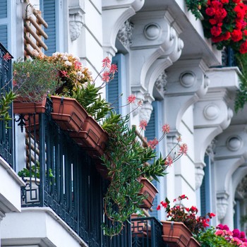 How To Plan A Balcony Garden