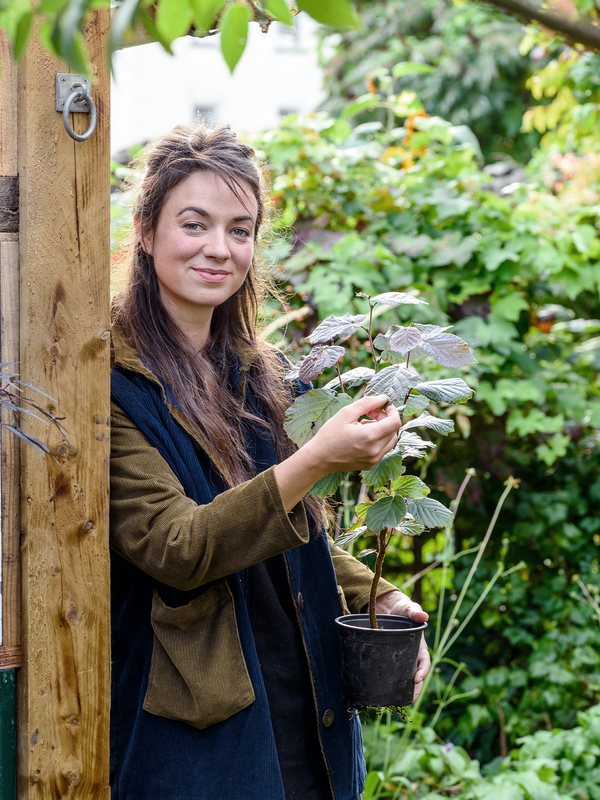 What’s In My Garden, With Frances Tophill 