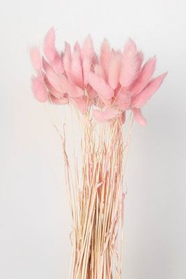 Natural Dried Pink Bunny Tails from Little Deer