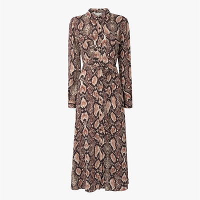 Snake Print Dress from Whistles